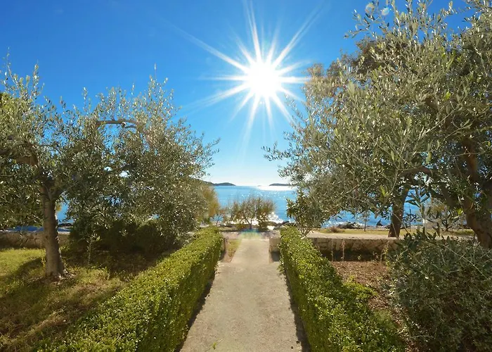 Tina 로고즈니차