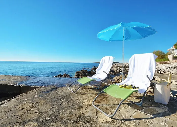 아파트 Tina 로고즈니차