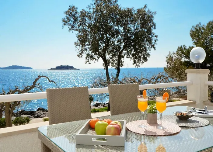 Tina 아파트 로고즈니차