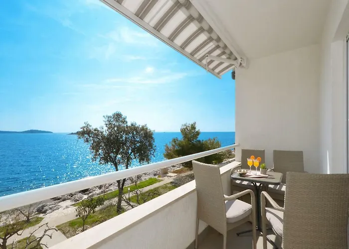 Tina * 로고즈니차